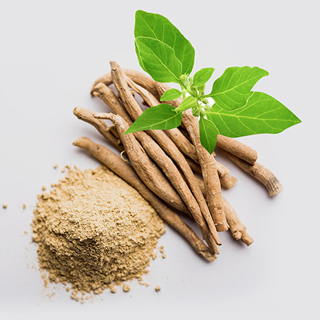Certified organic Ashwagandha extract (Withania somnifera)