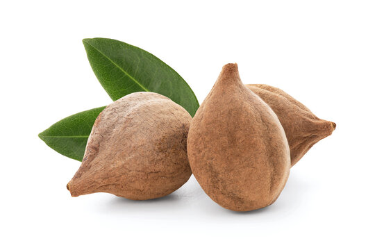 Certified organic Baheda (Terminalia bellirica)