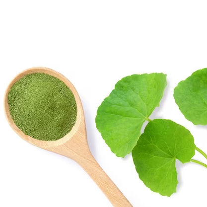 Certified organic Gotukula extract (Centella asiatica)
