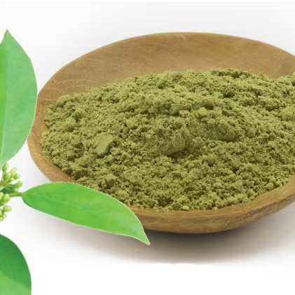 Certified organic Gymnema (Gymnema sylvestre)