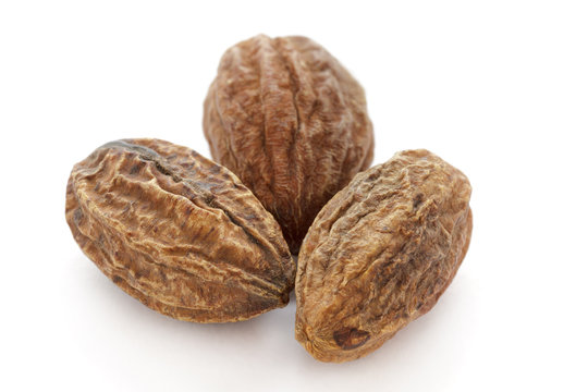Certified organic Haritaki/Harad extract (Terminalia chebula)