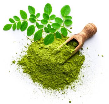Certified organic Moringa Seed Oil (Moringa oleifera)