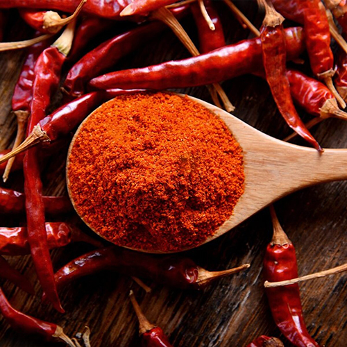 Certified organic Red Chilli (Capsicum annuum)