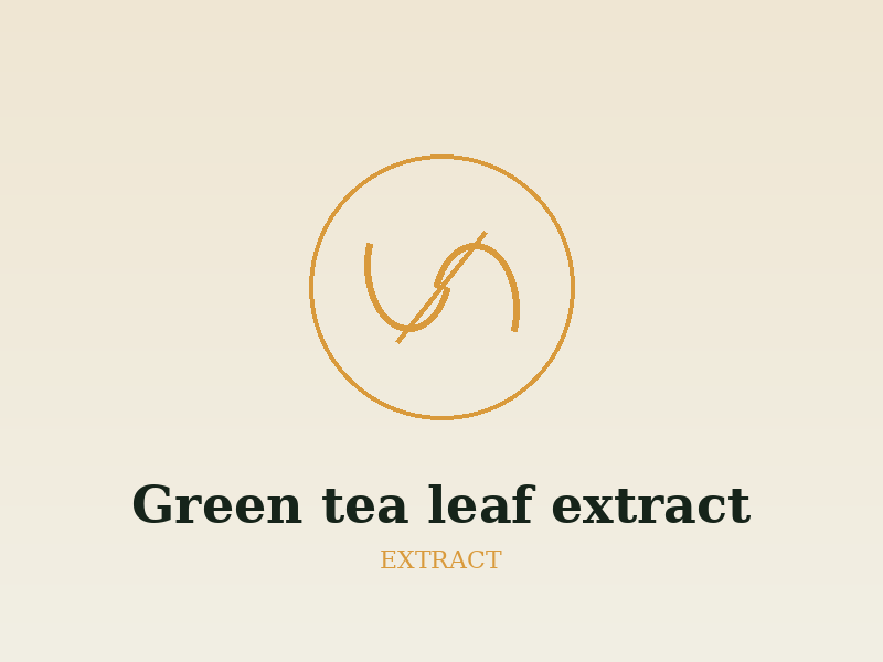 Certified organic Green tea leaf extract (Camellia sinensis)